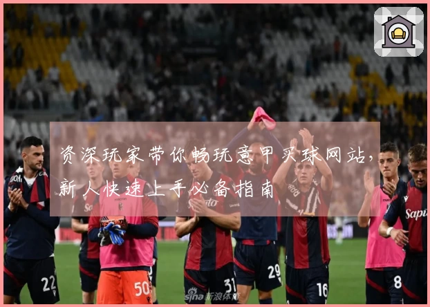 资深玩家带你畅玩意甲买球网站，新人快速上手必备指南