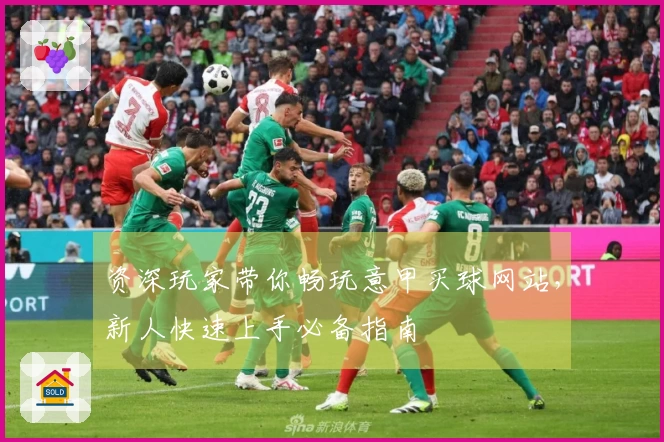 资深玩家带你畅玩意甲买球网站，新人快速上手必备指南