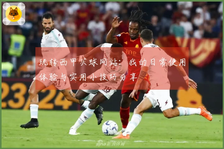 玩转西甲买球网站：我的日常使用体验与实用小技巧分享