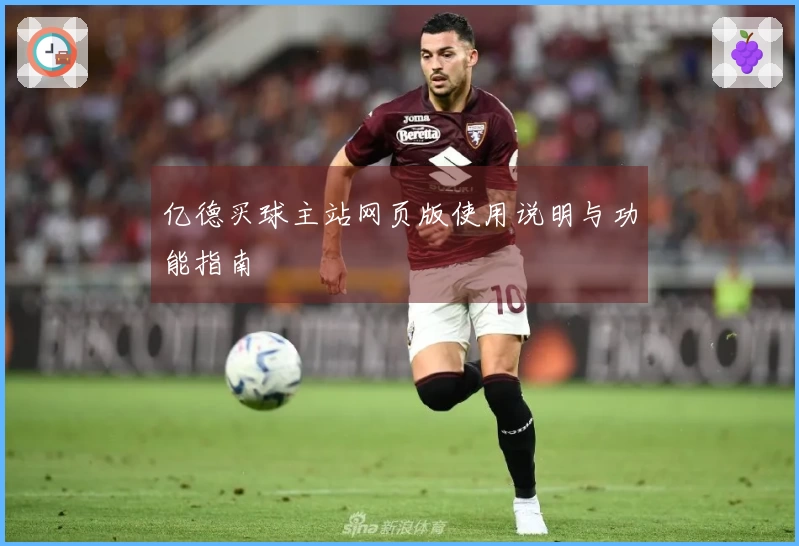 亿德买球主站网页版使用说明与功能指南
