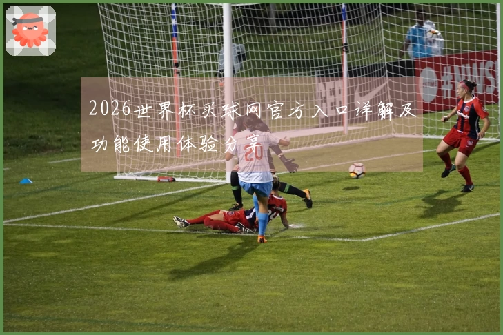 2026世界杯买球网官方入口详解及功能使用体验分享