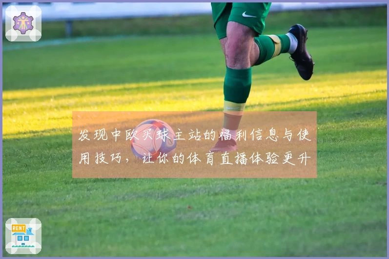 发现中欧买球主站的福利信息与使用技巧，让你的体育直播体验更升华